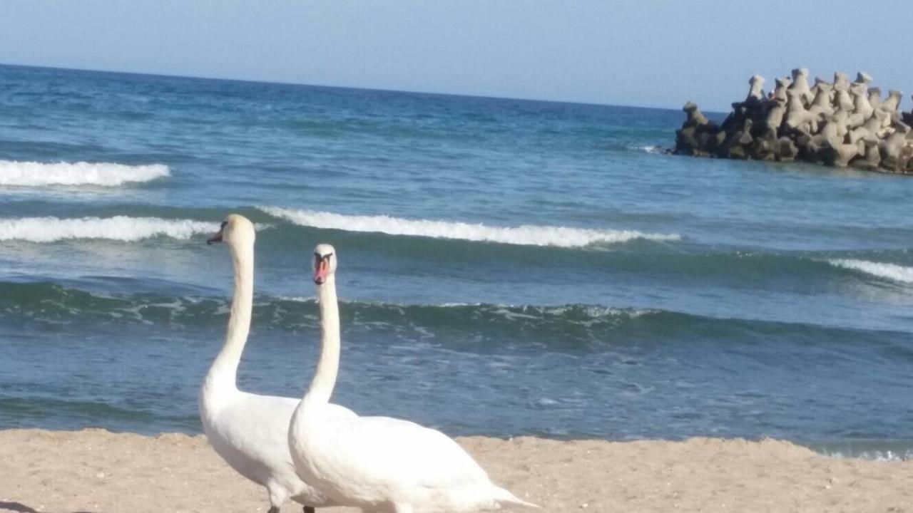 Sara Sea View Olimp Apartman Kültér fotó
